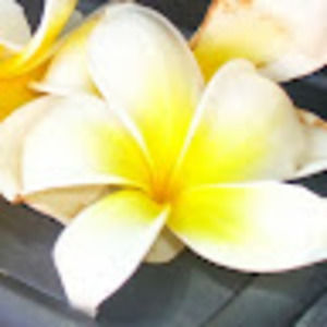 Meet your Posher, Abbygayle